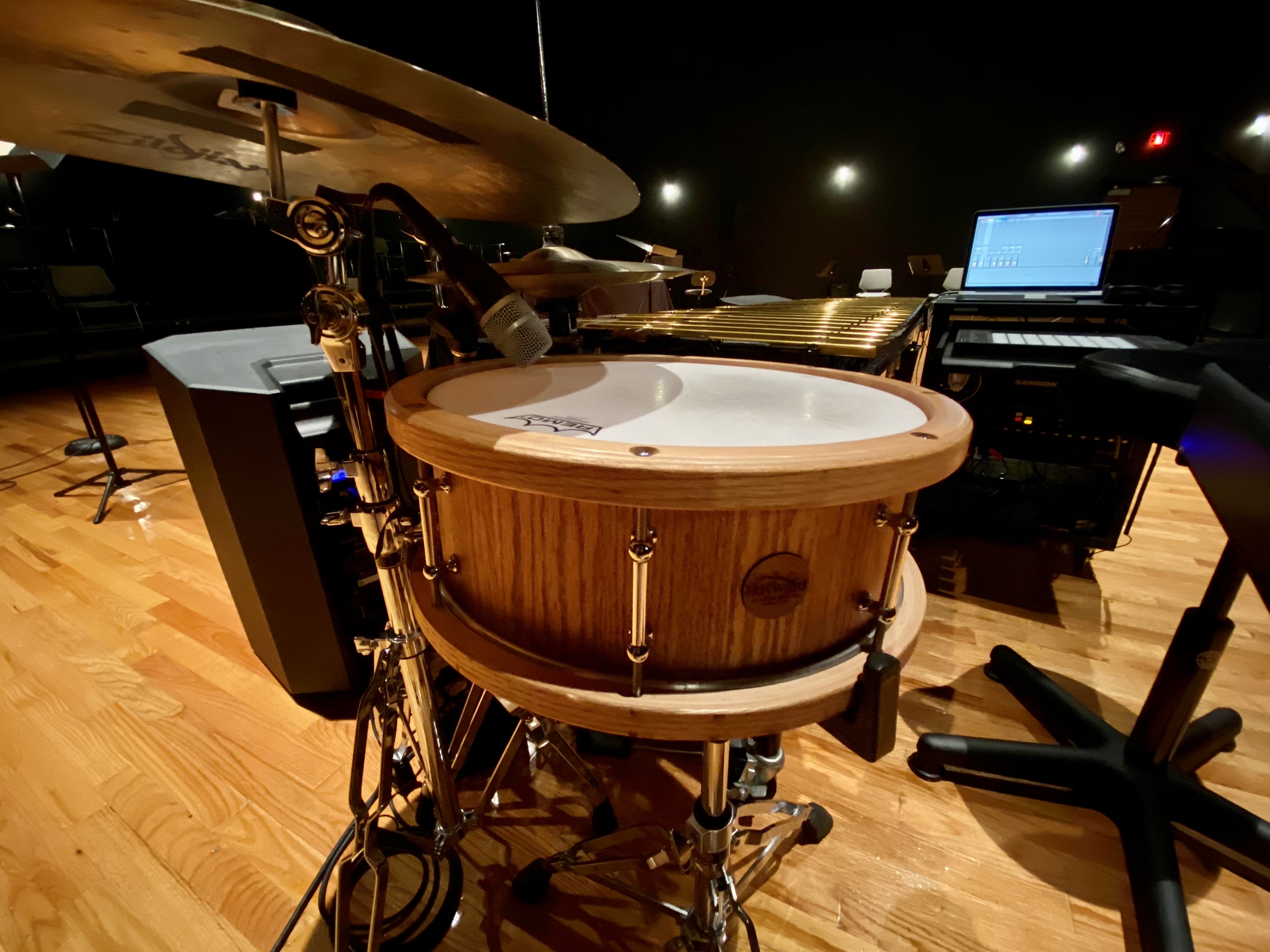 vibra-kit snare.jpg